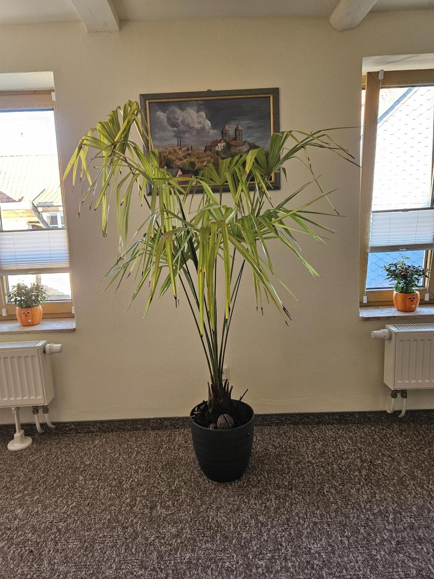 Ferienwohnung Goldstr.7 Quedlinburg Kültér fotó